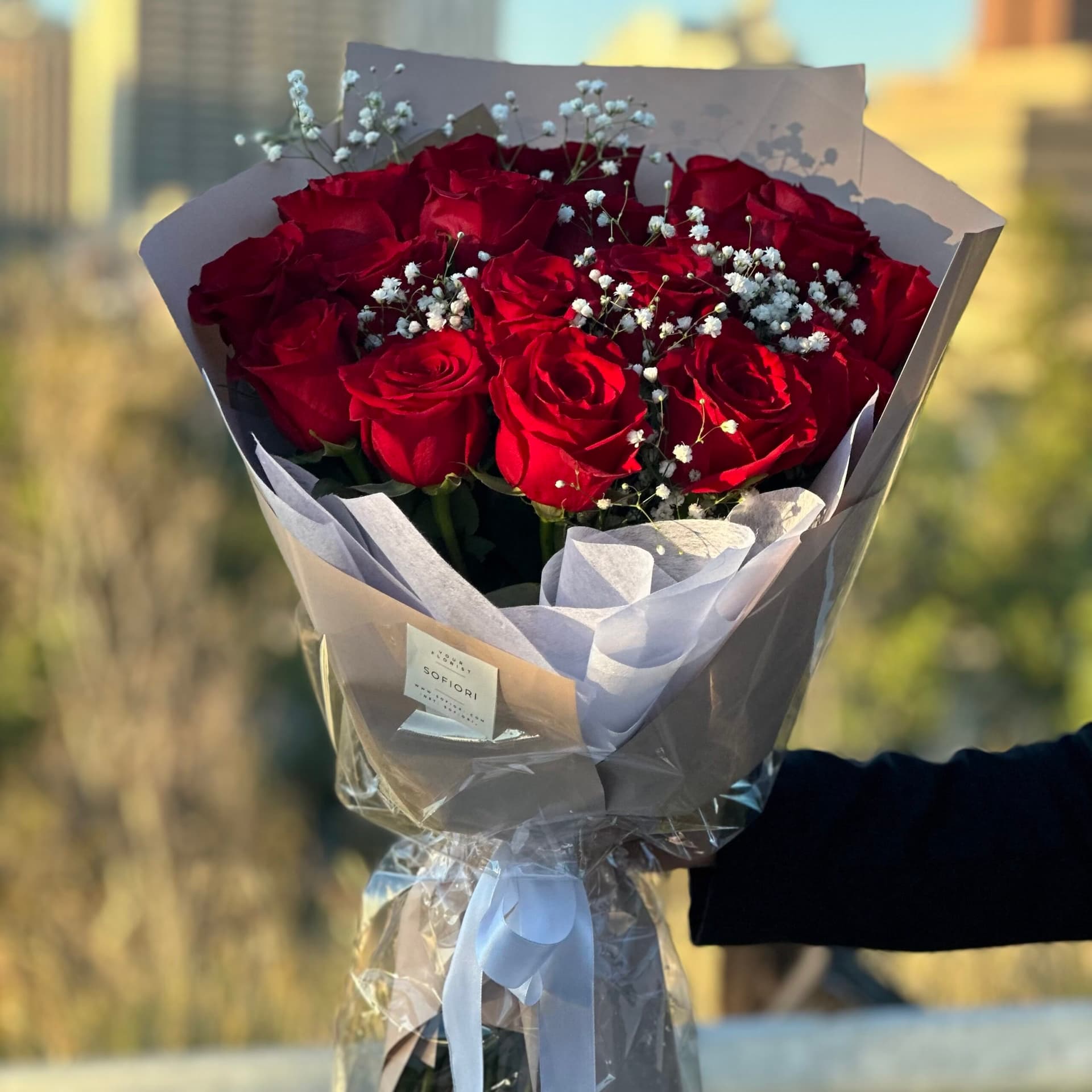 Beautiful Red Roses