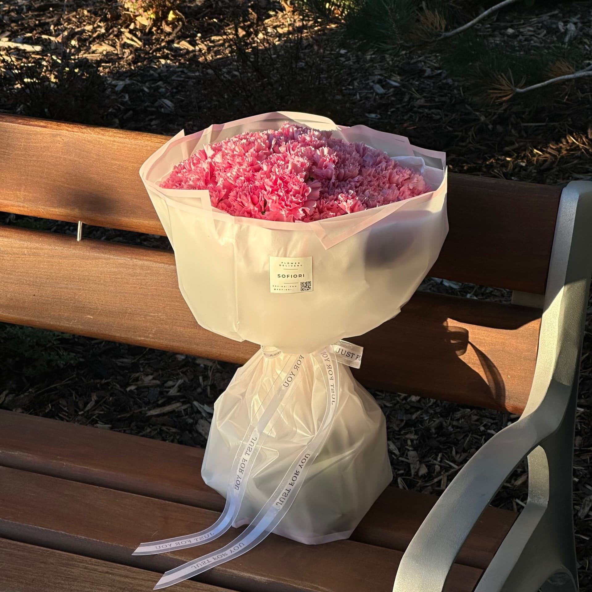 Pink Carnation – Valentine Special