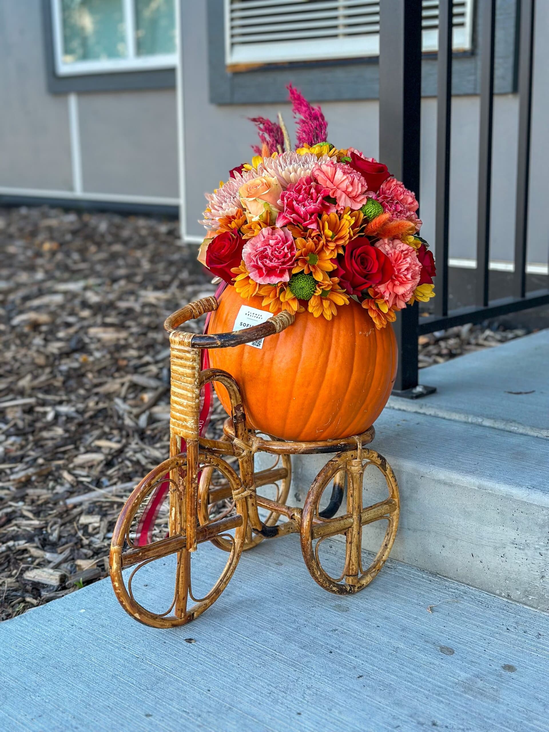 Pumpkin 2