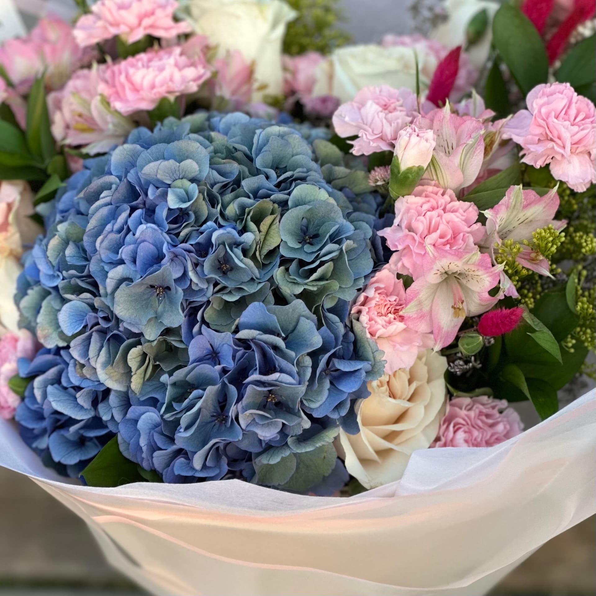 Blue Hidrangena