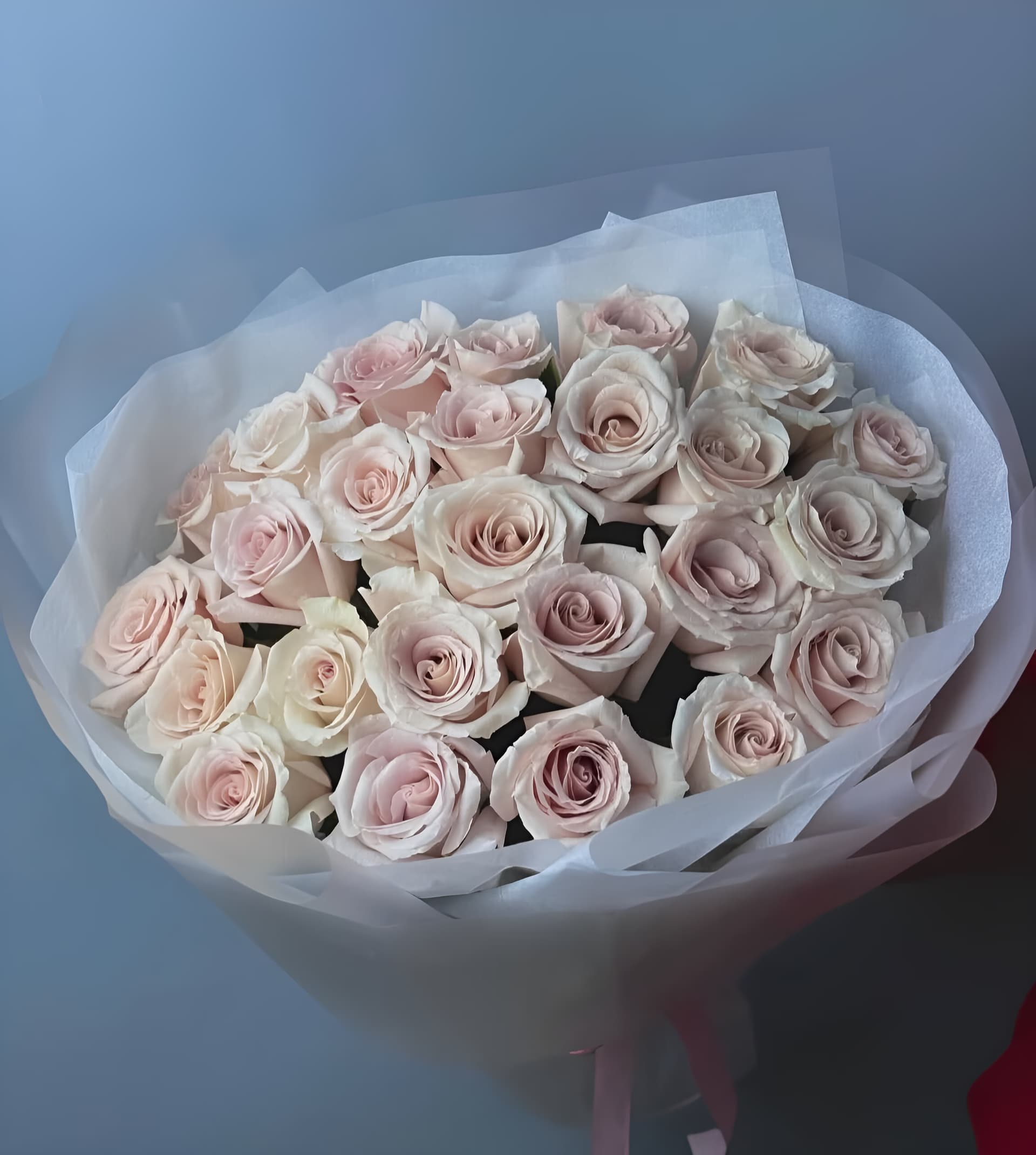 25 Pastel Roses