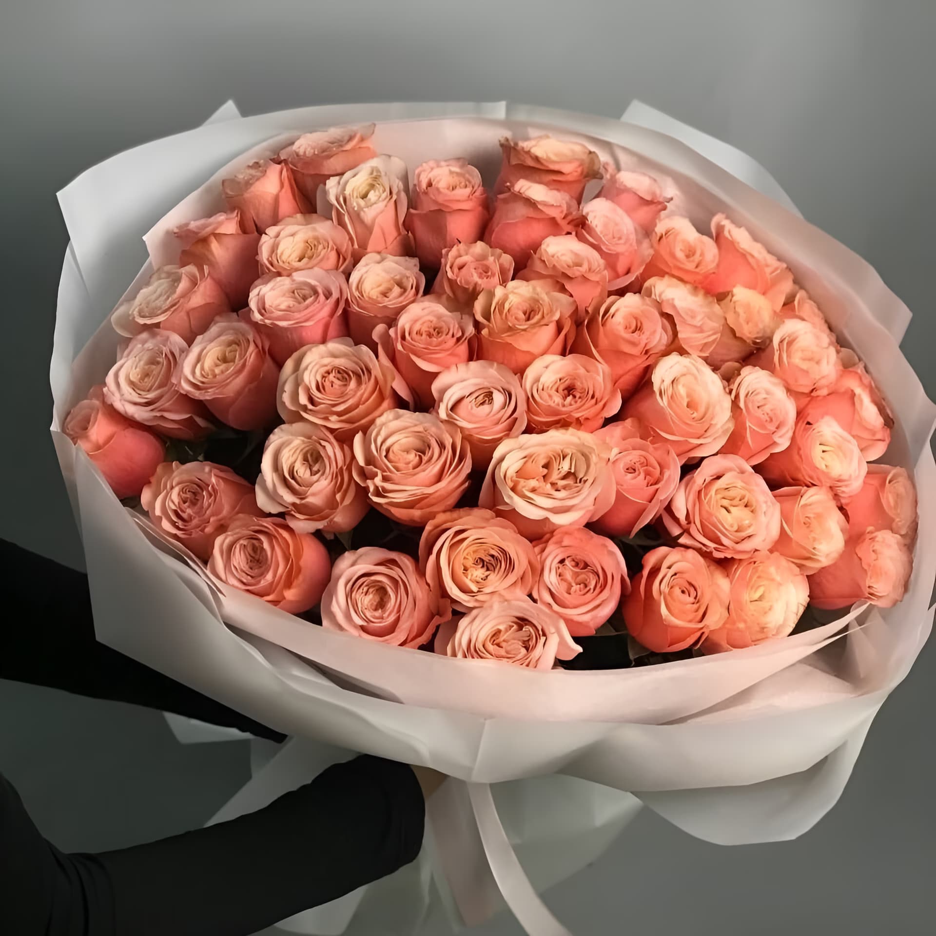 50 Peach Rose