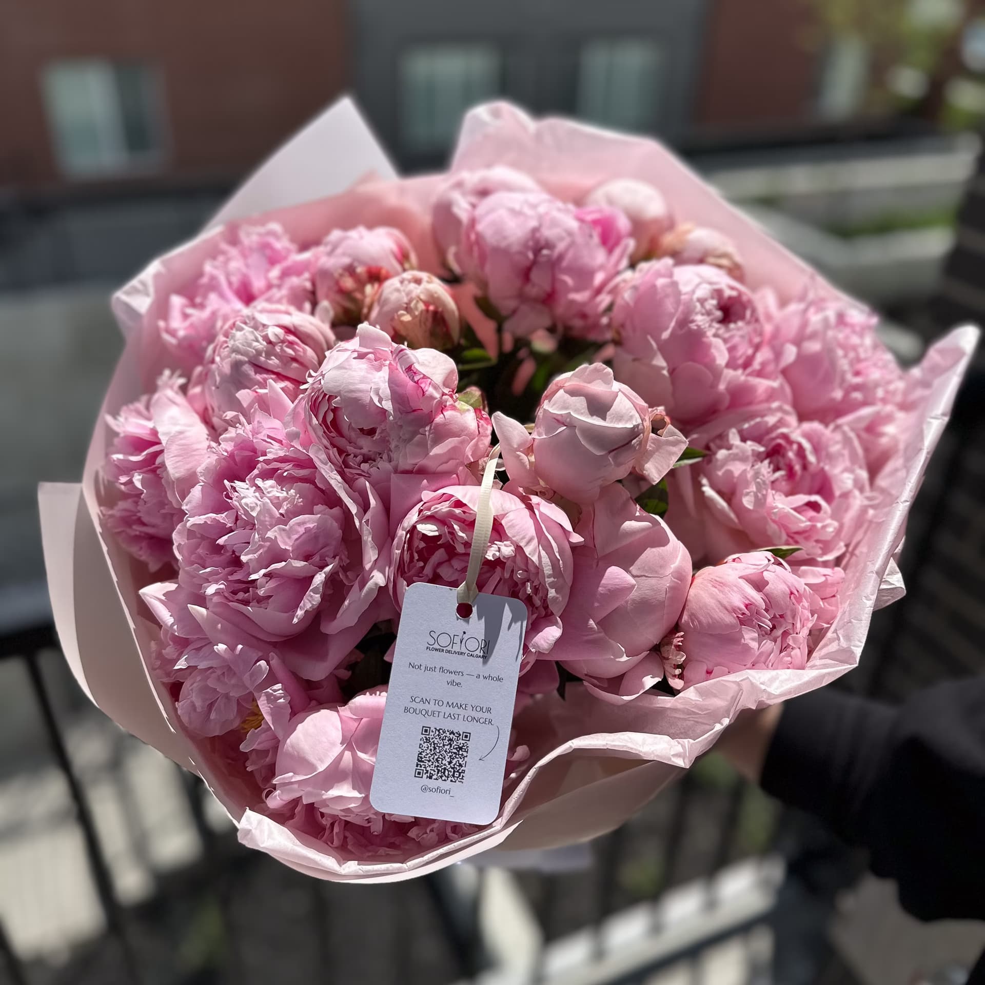 Pink Peonies 20 Stems