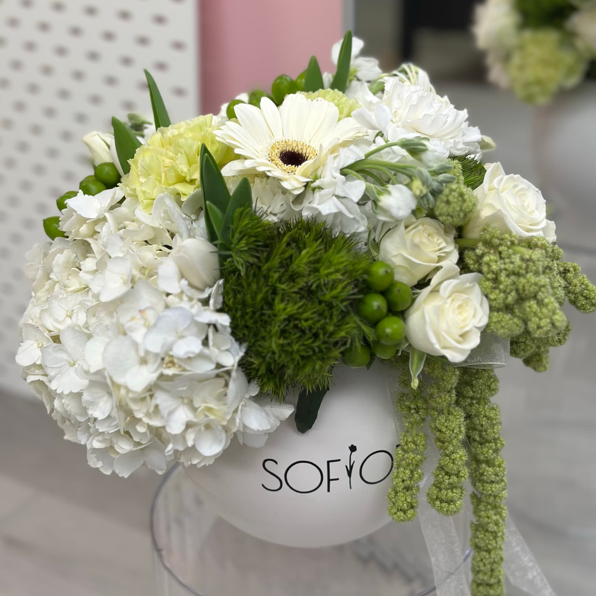 Hydrangea Cloud