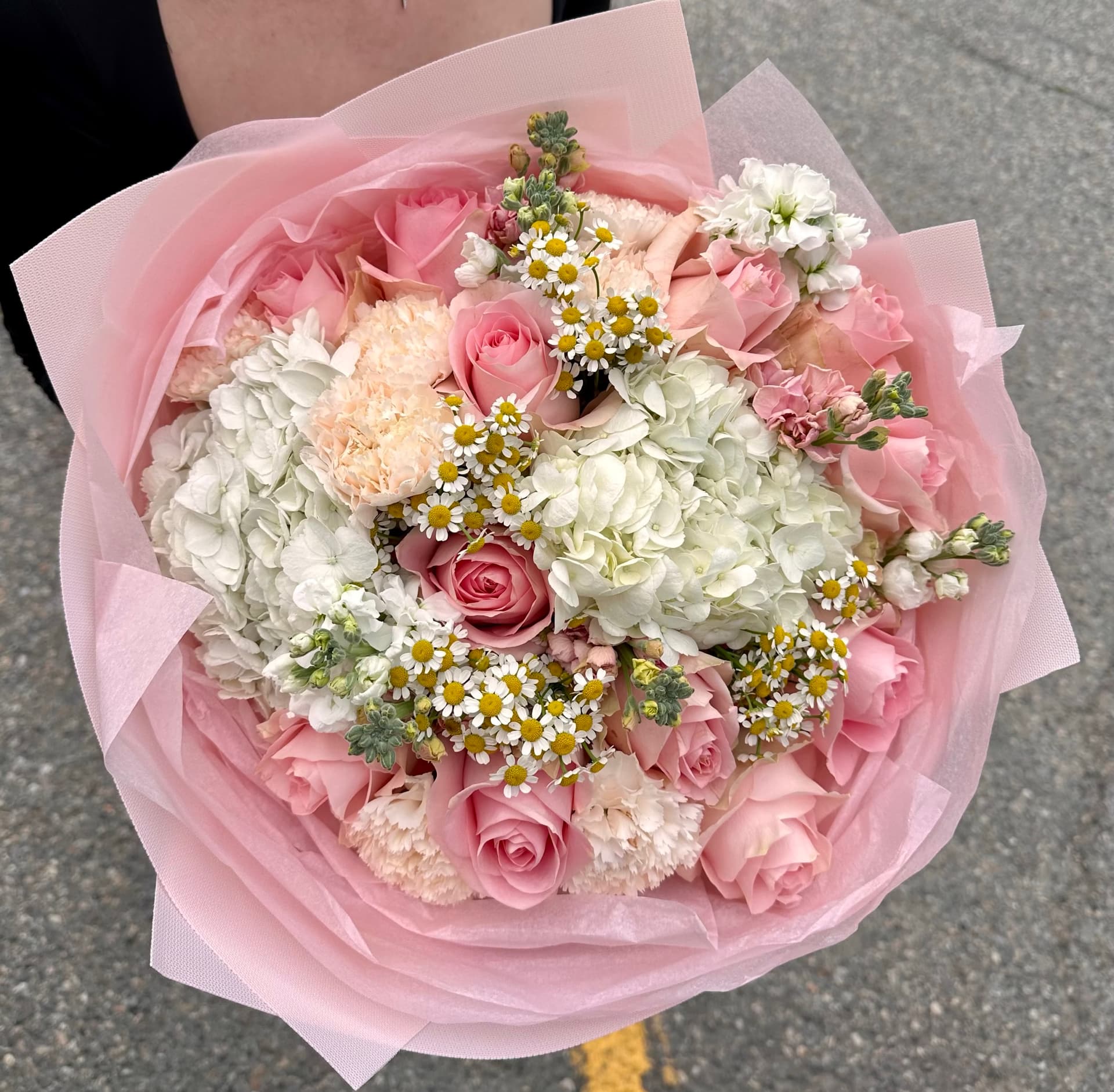 Tender Bloom