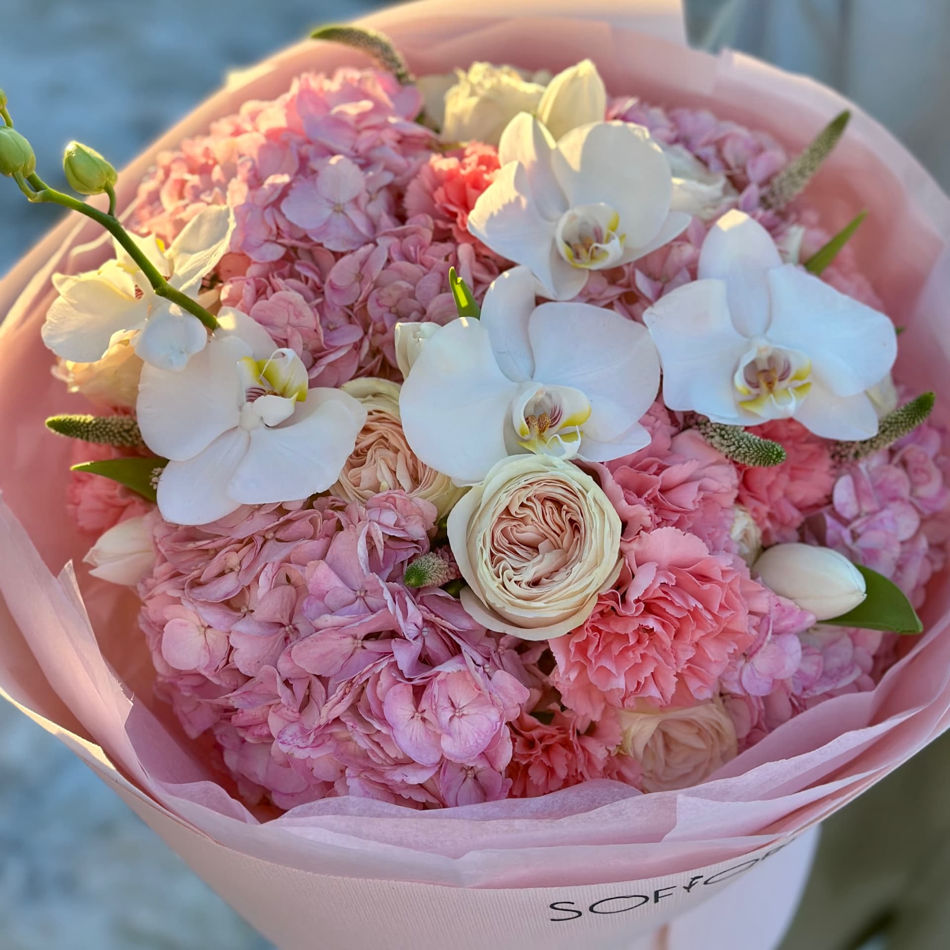 Housewarming bouquet — Hidrangenas & Orchids