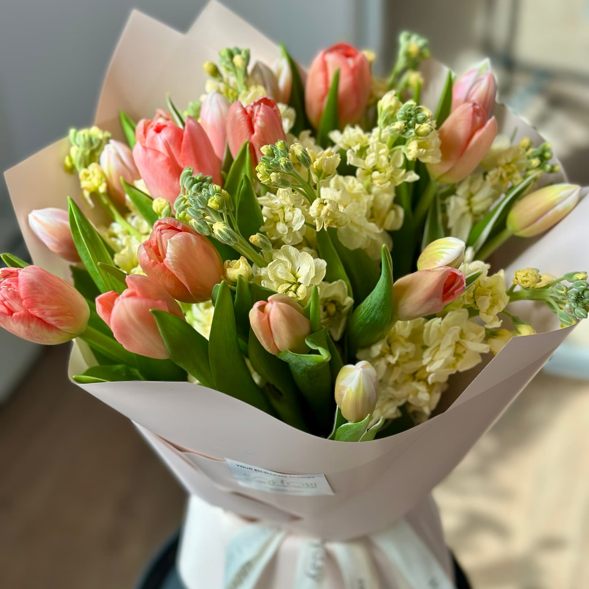 Peach tulips