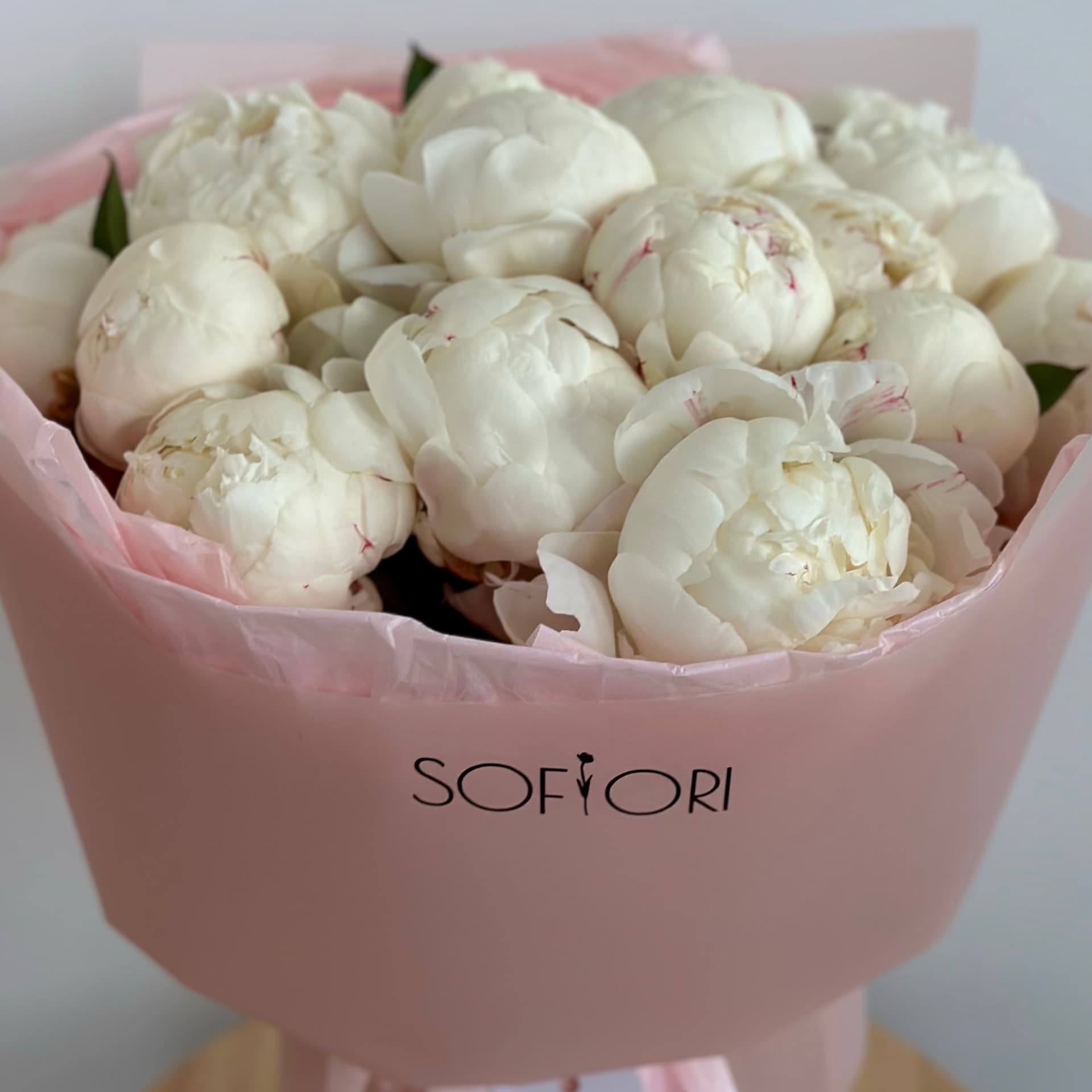 White peonies 19 pcs