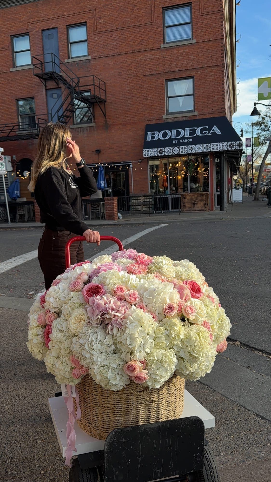 XL Hydrangea Cloud