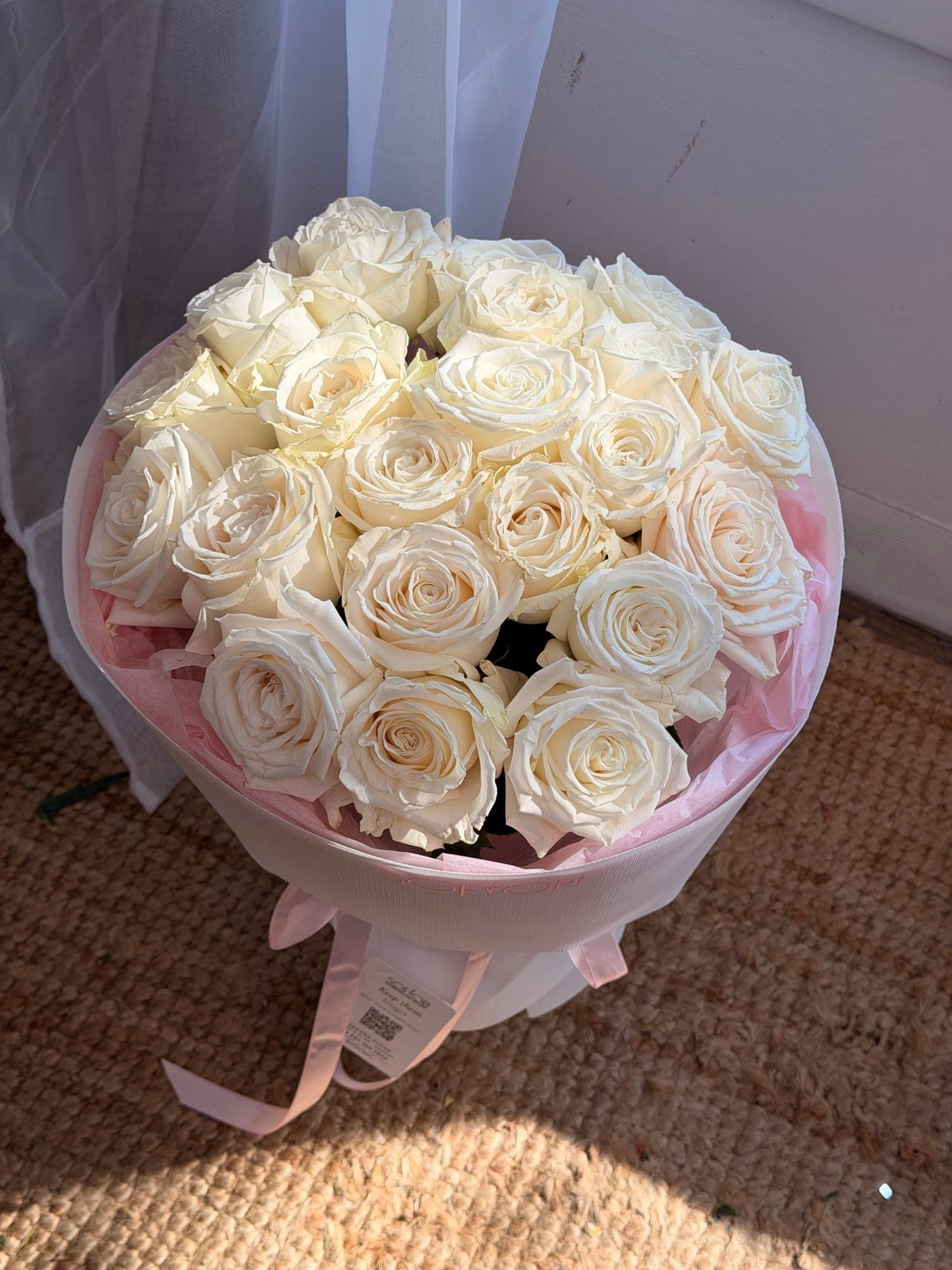 Playa Blanca — roses, Sofiori Calgary