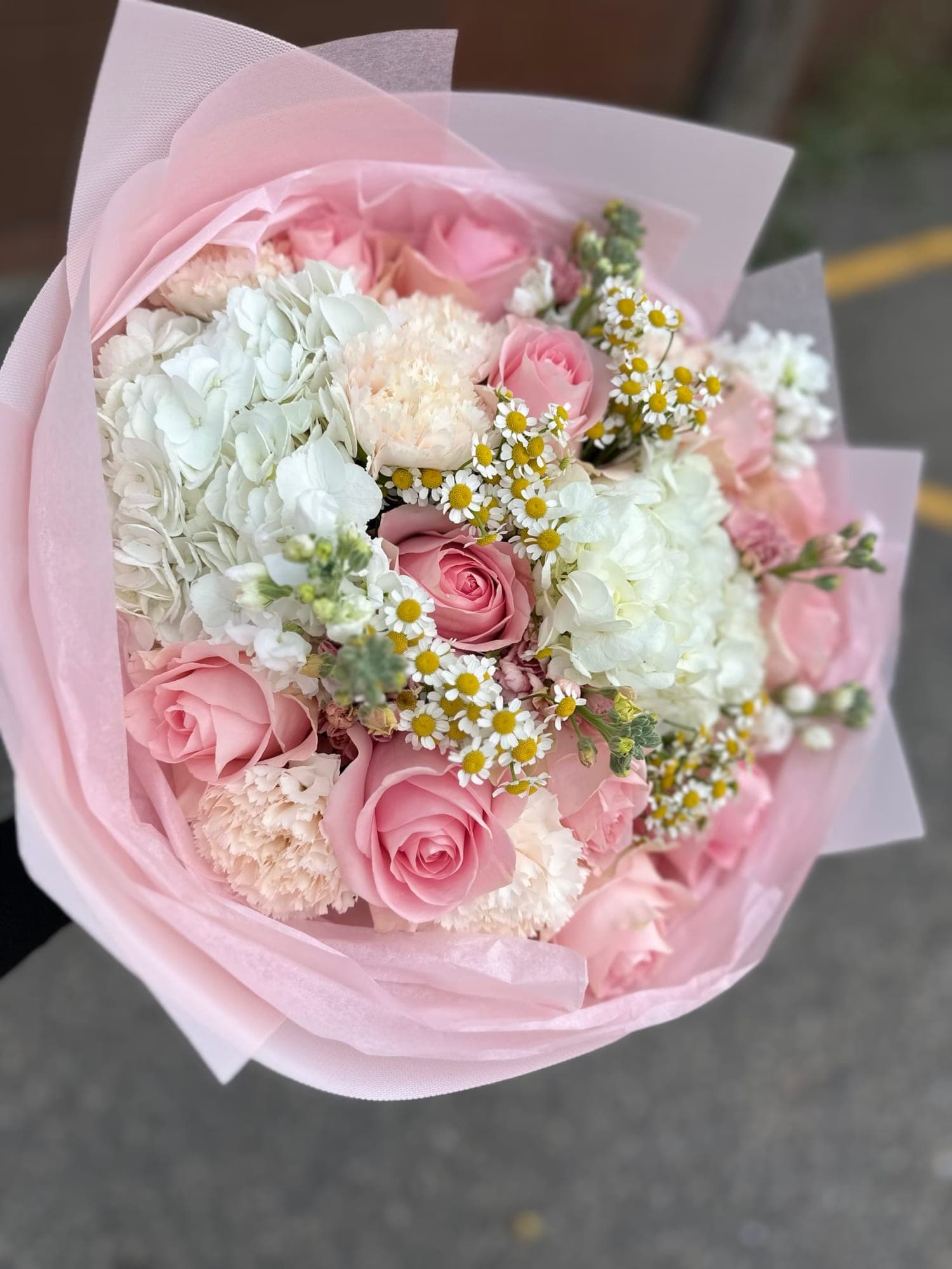 Tender Bloom — photo 2
