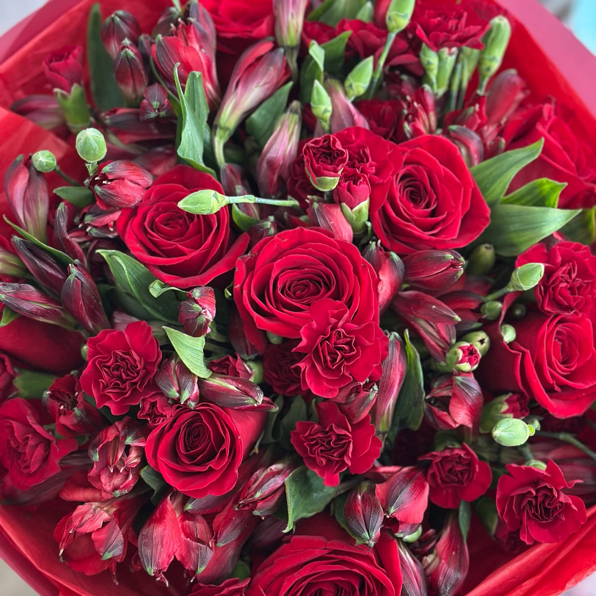 Scarlet Love — photo 2