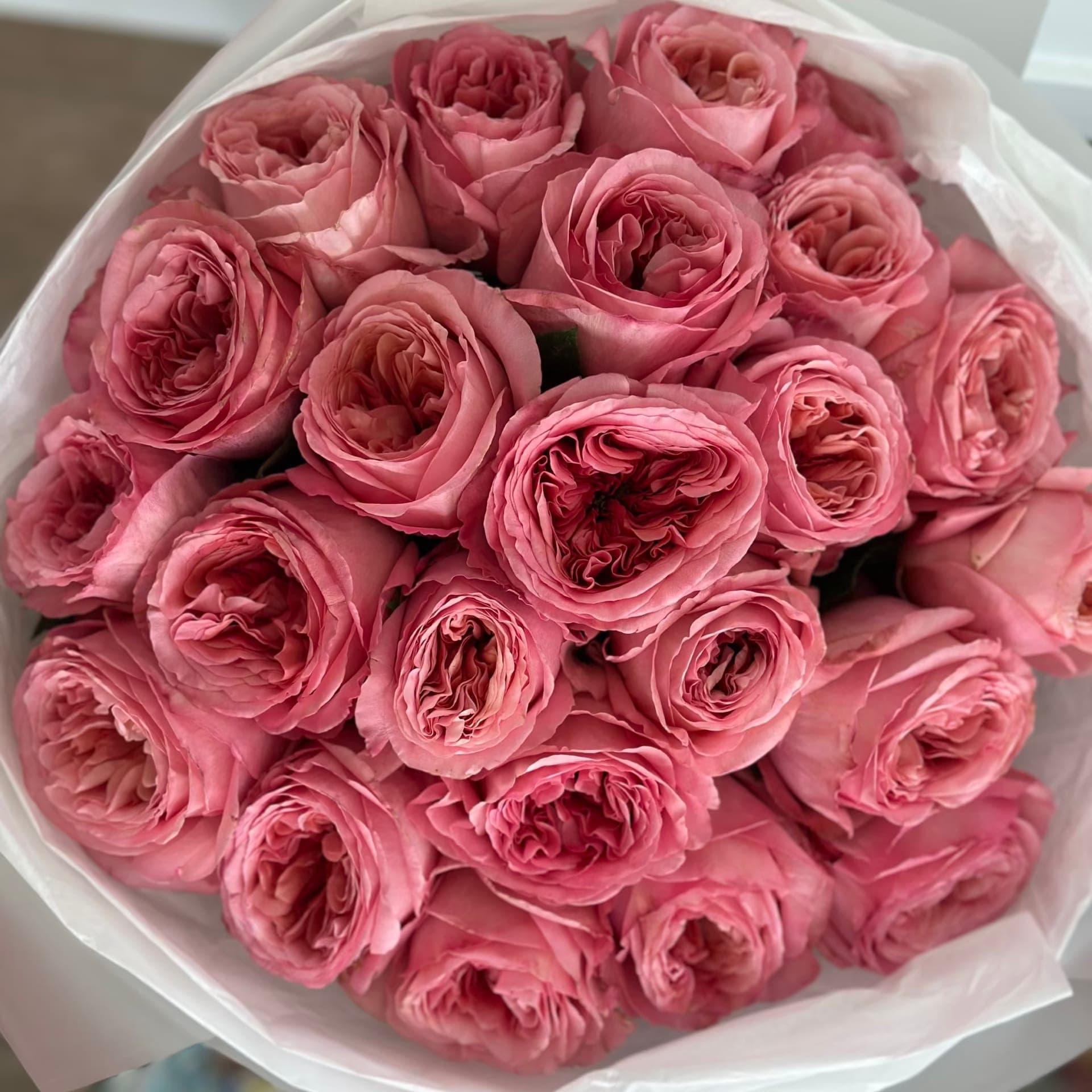 24 Pink Garden Roses — Sofiori, Calgary
