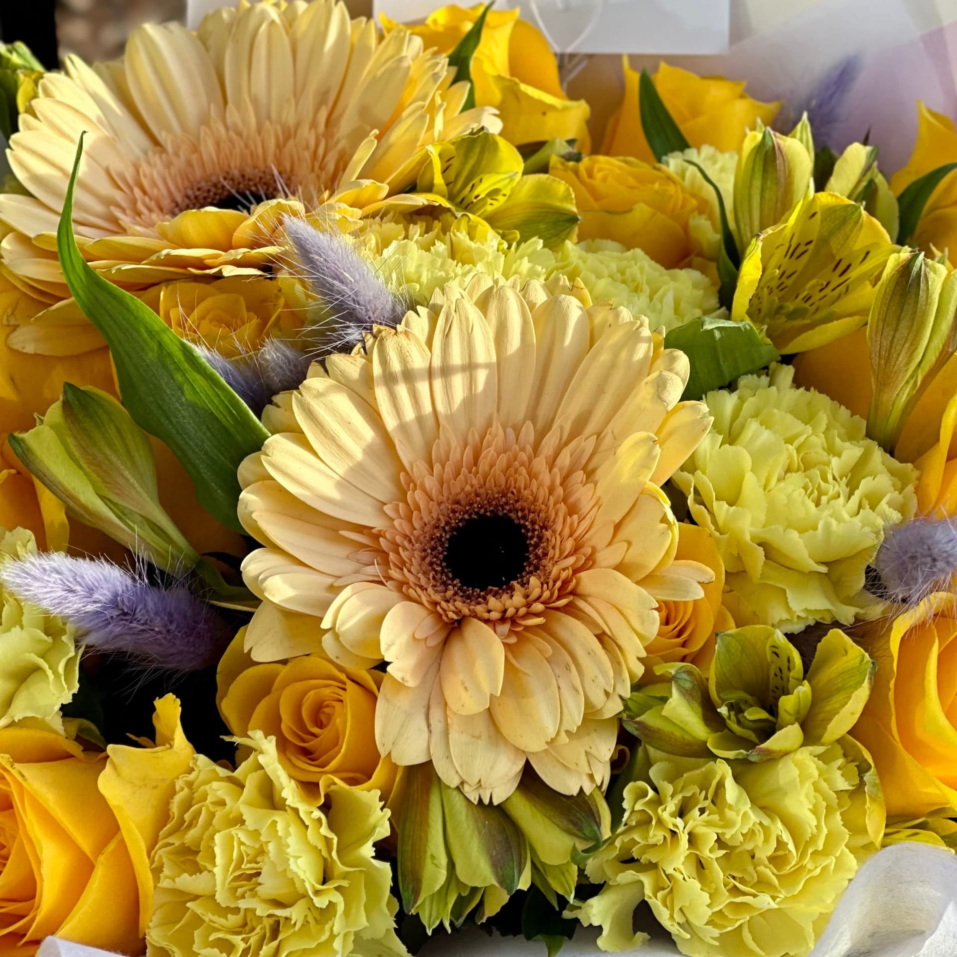 Sunny Gerbera — photo 2