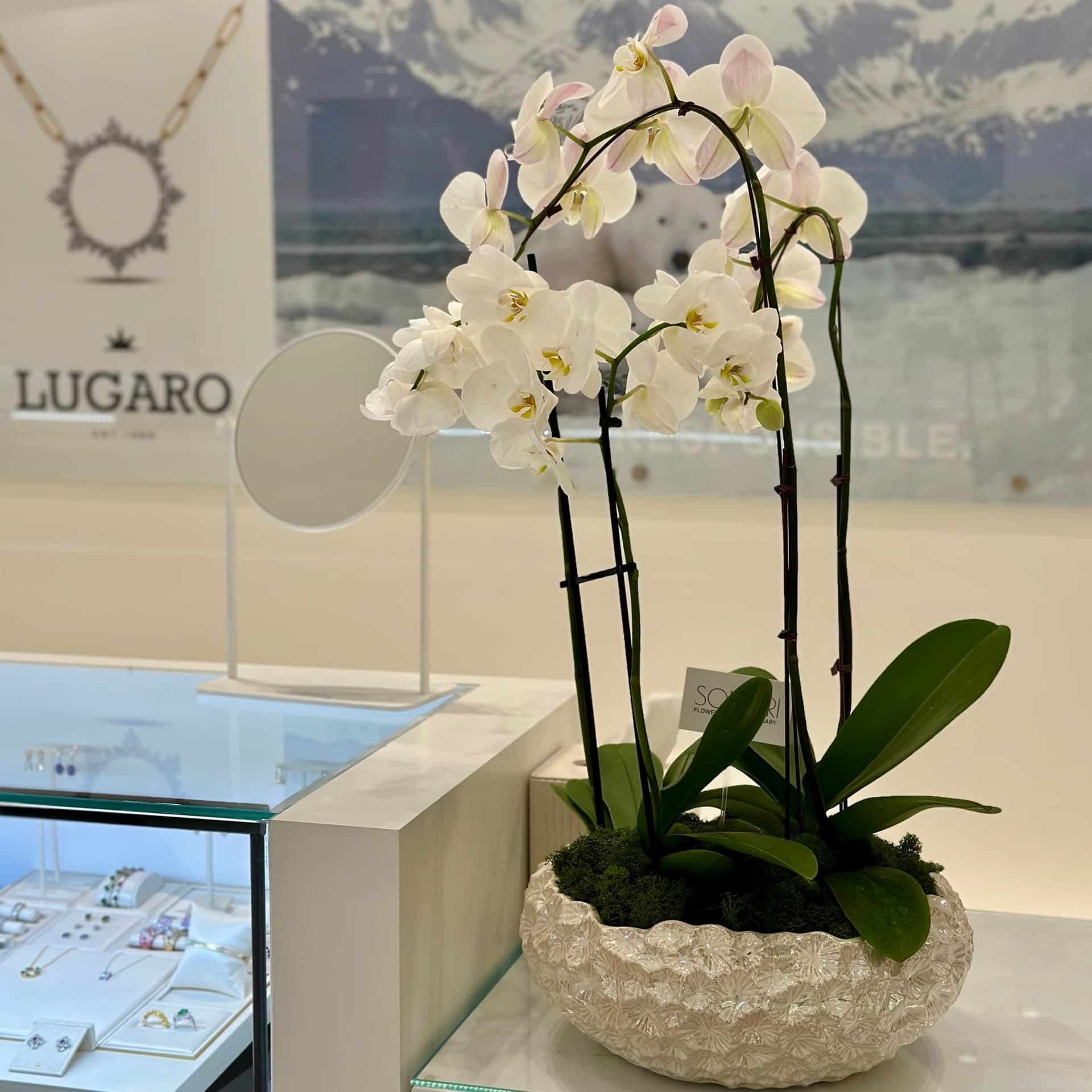 Pure Orchid — photo 2