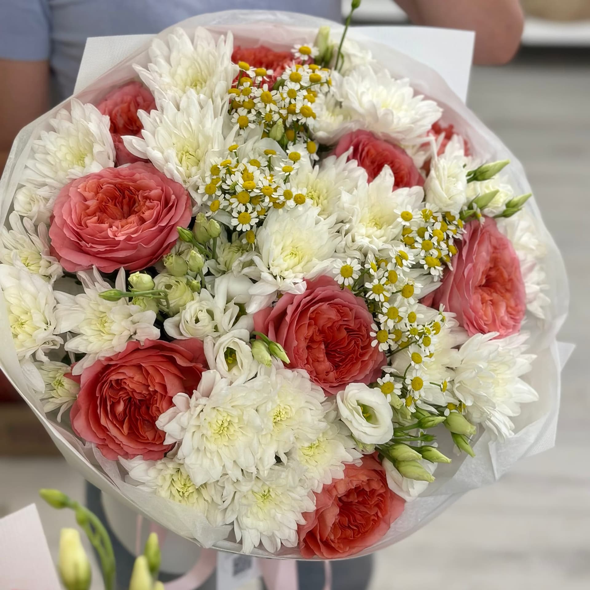 Pure Bloom — photo 3