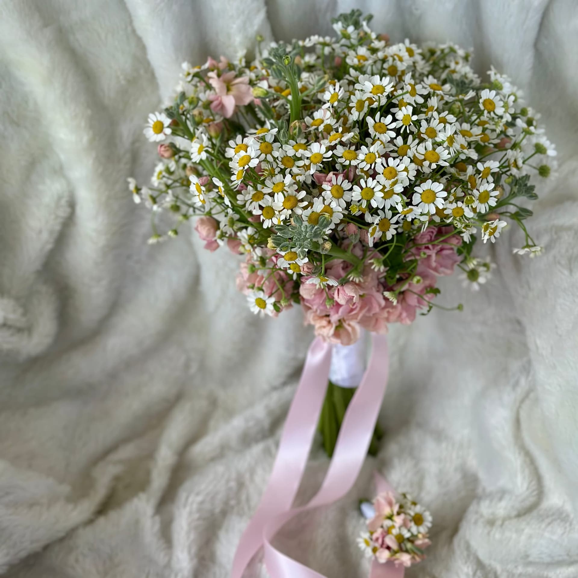 Daisy Dream — photo 3