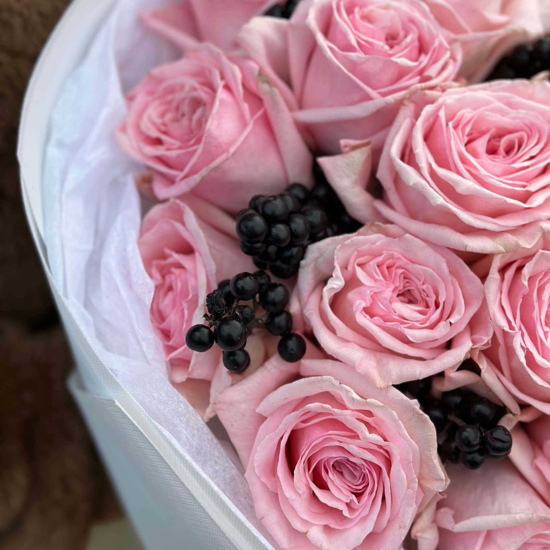 Pink O’Hara and Berry — photo 2