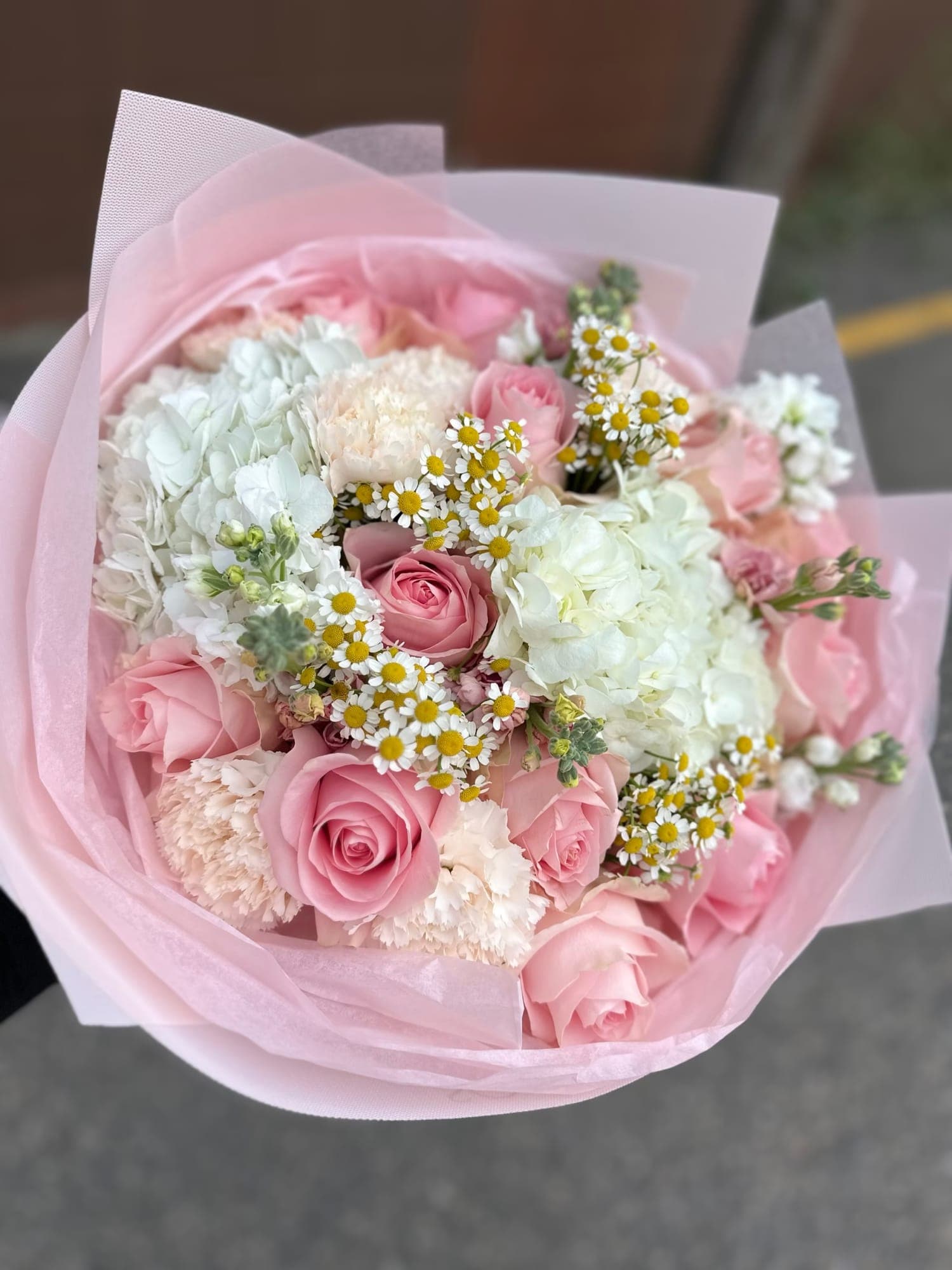 Tender Bloom — photo 3