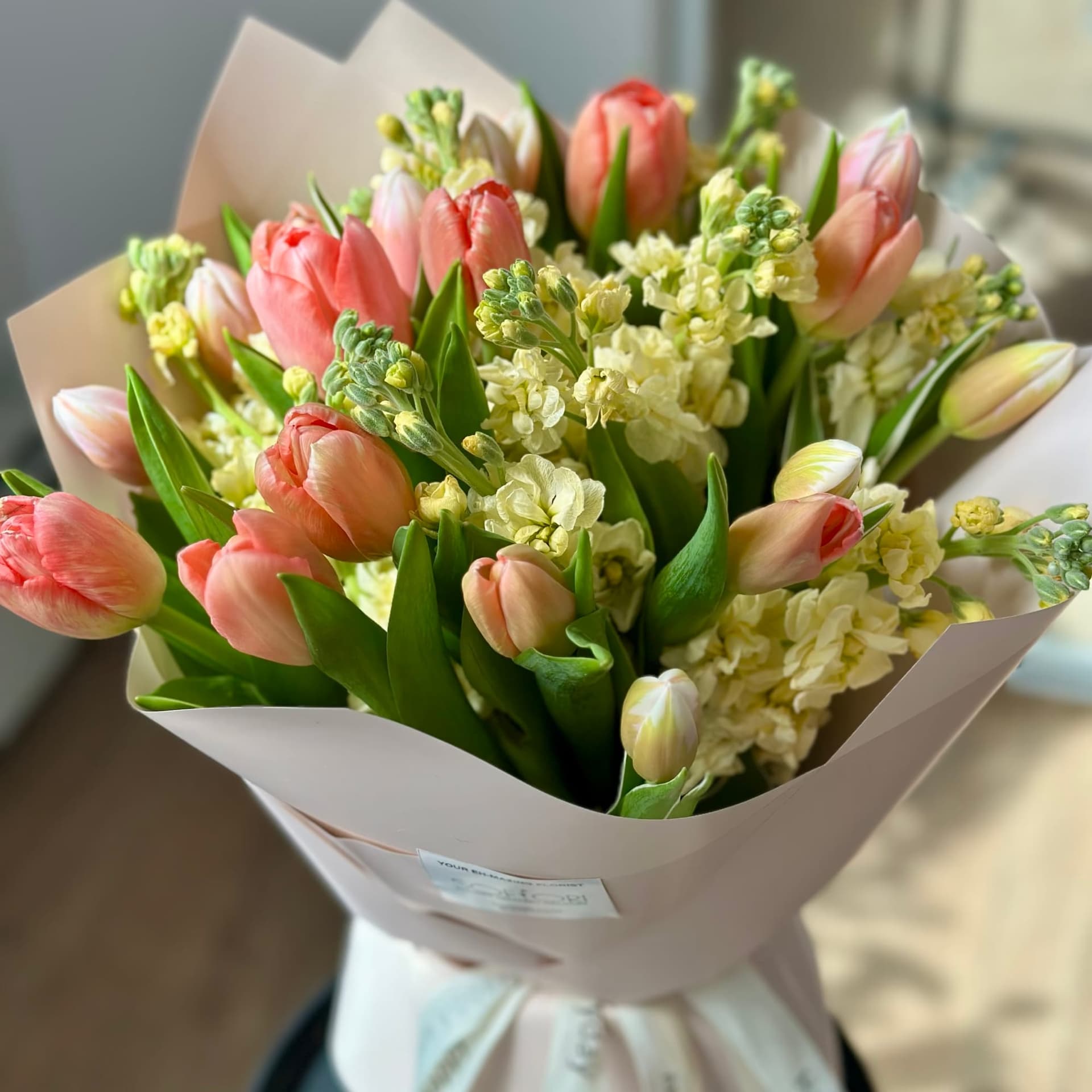 Peach Tulips