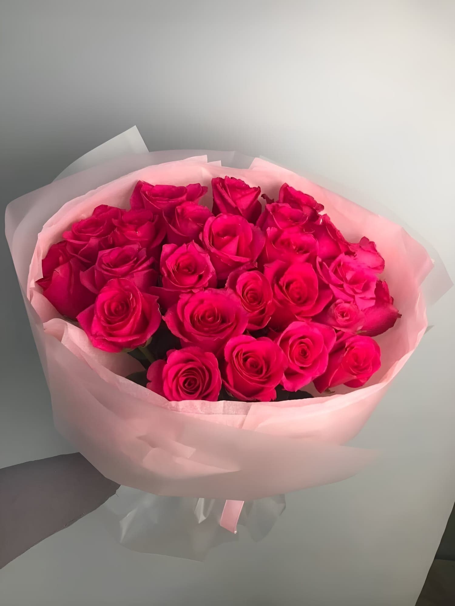 24 Hot Pink Roses