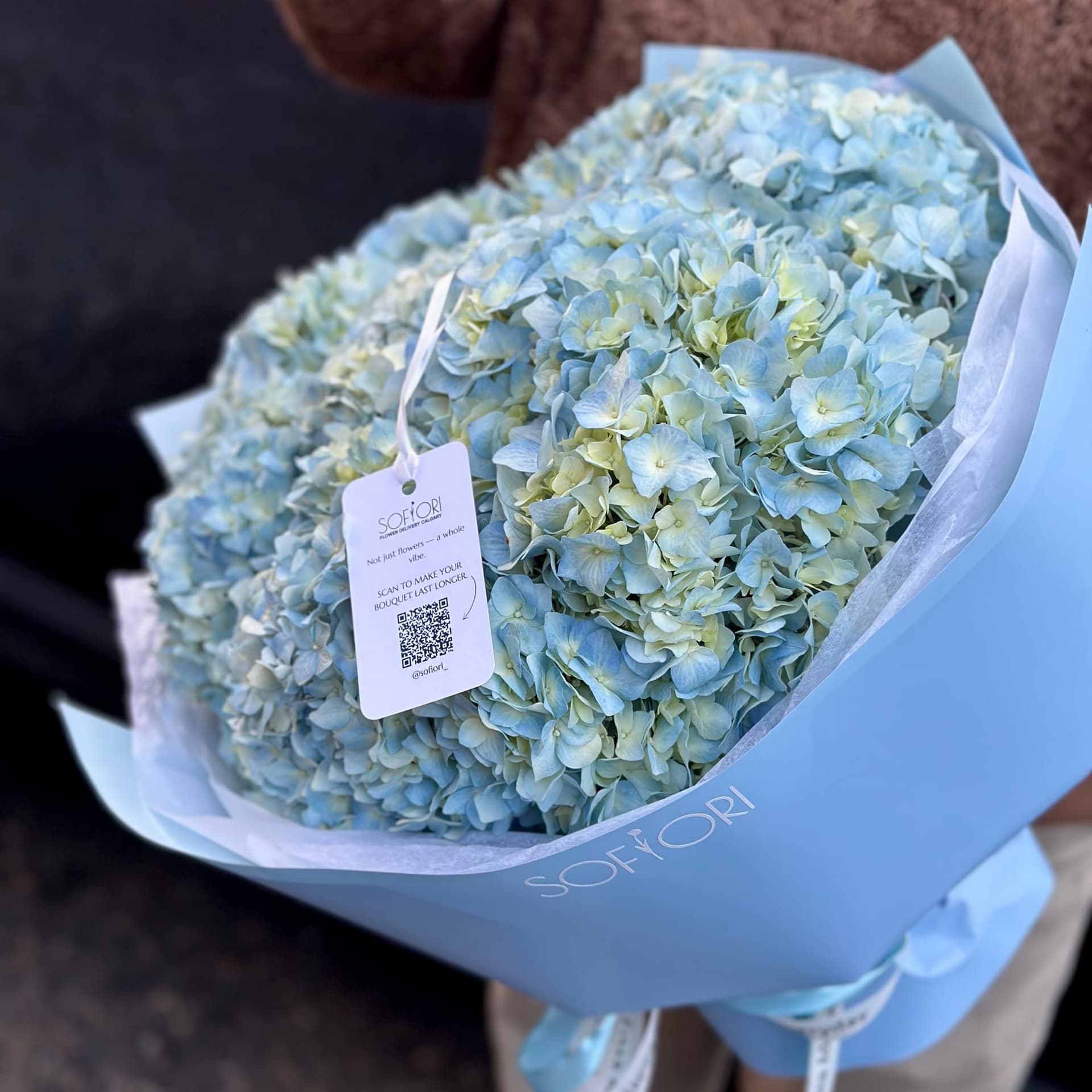Blue Hydrangeas XL — photo 3