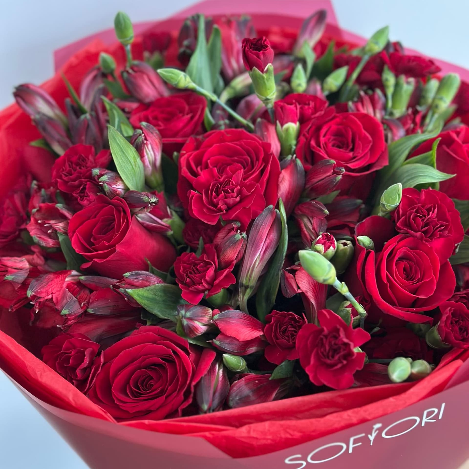 Scarlet Love — photo 3