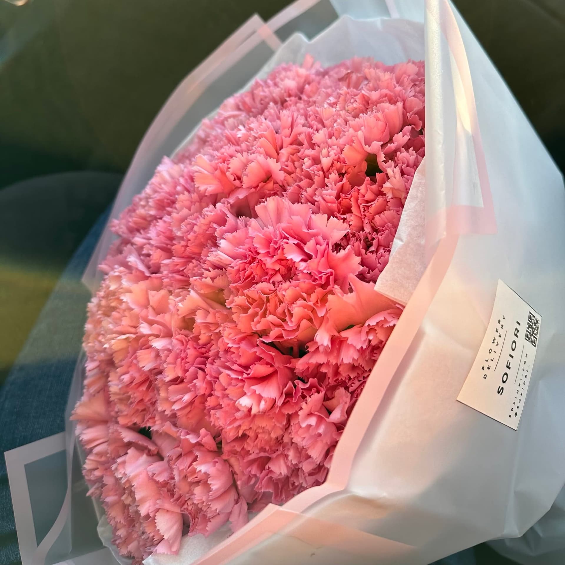 Pink Carnations — photo 2