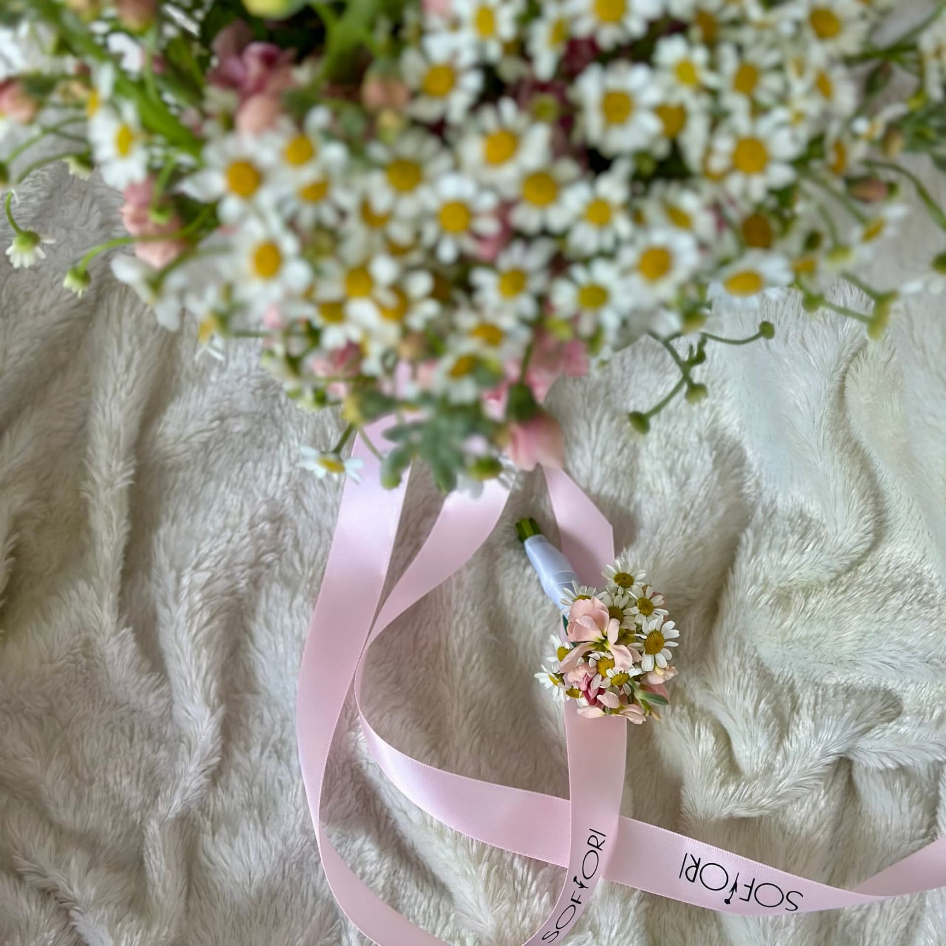 Daisy Dream — photo 2