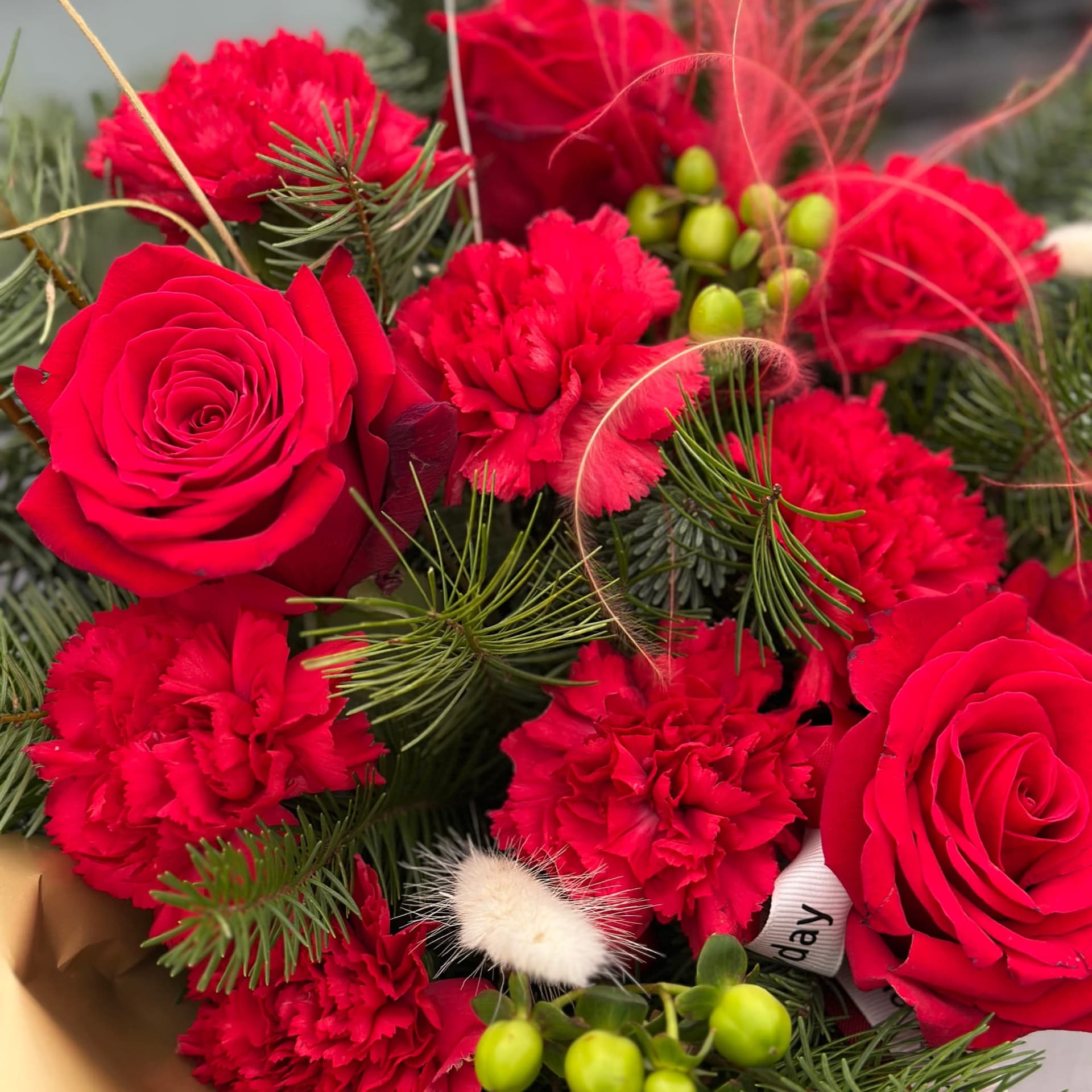 Winter Ruby — photo 2