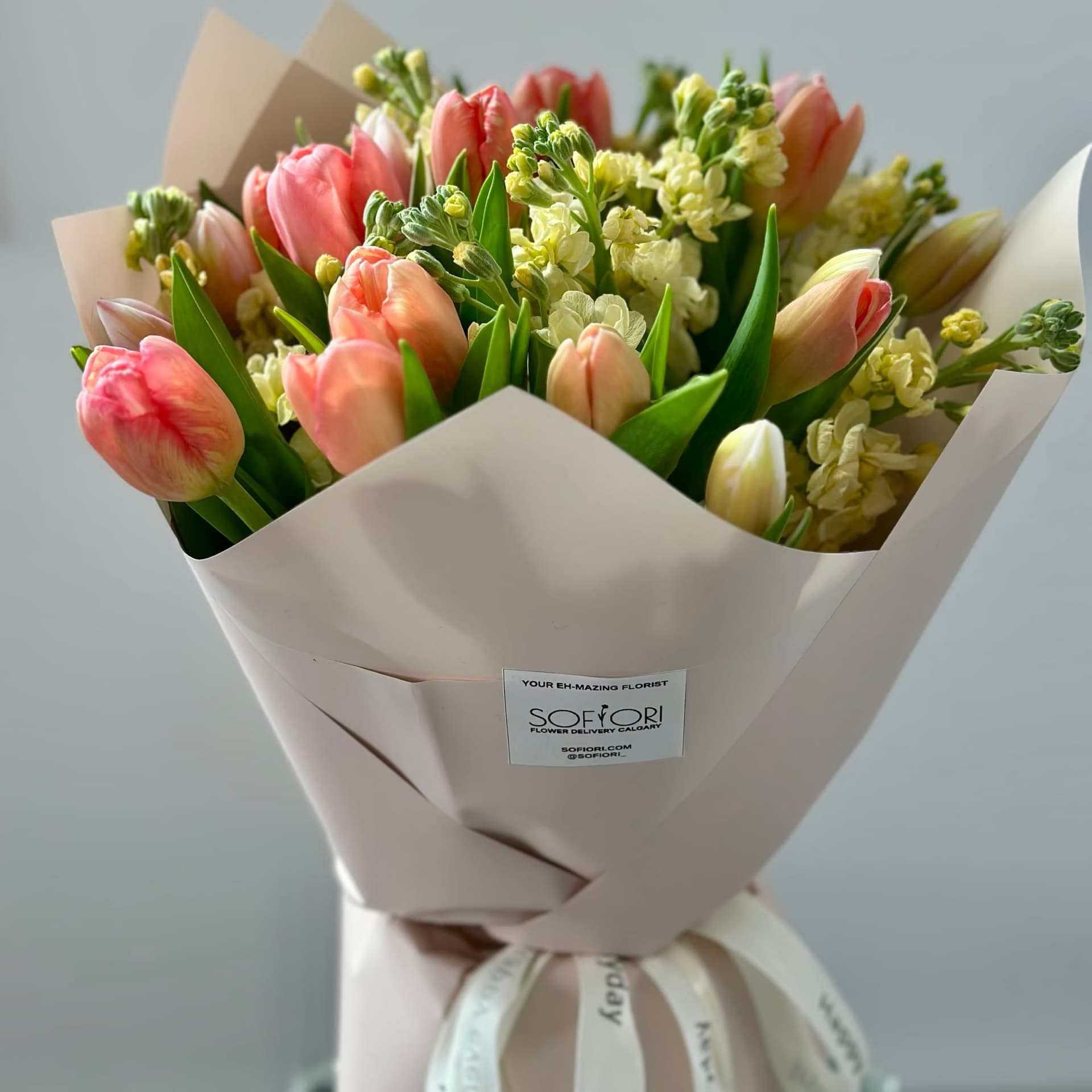 Peach Tulips — photo 3