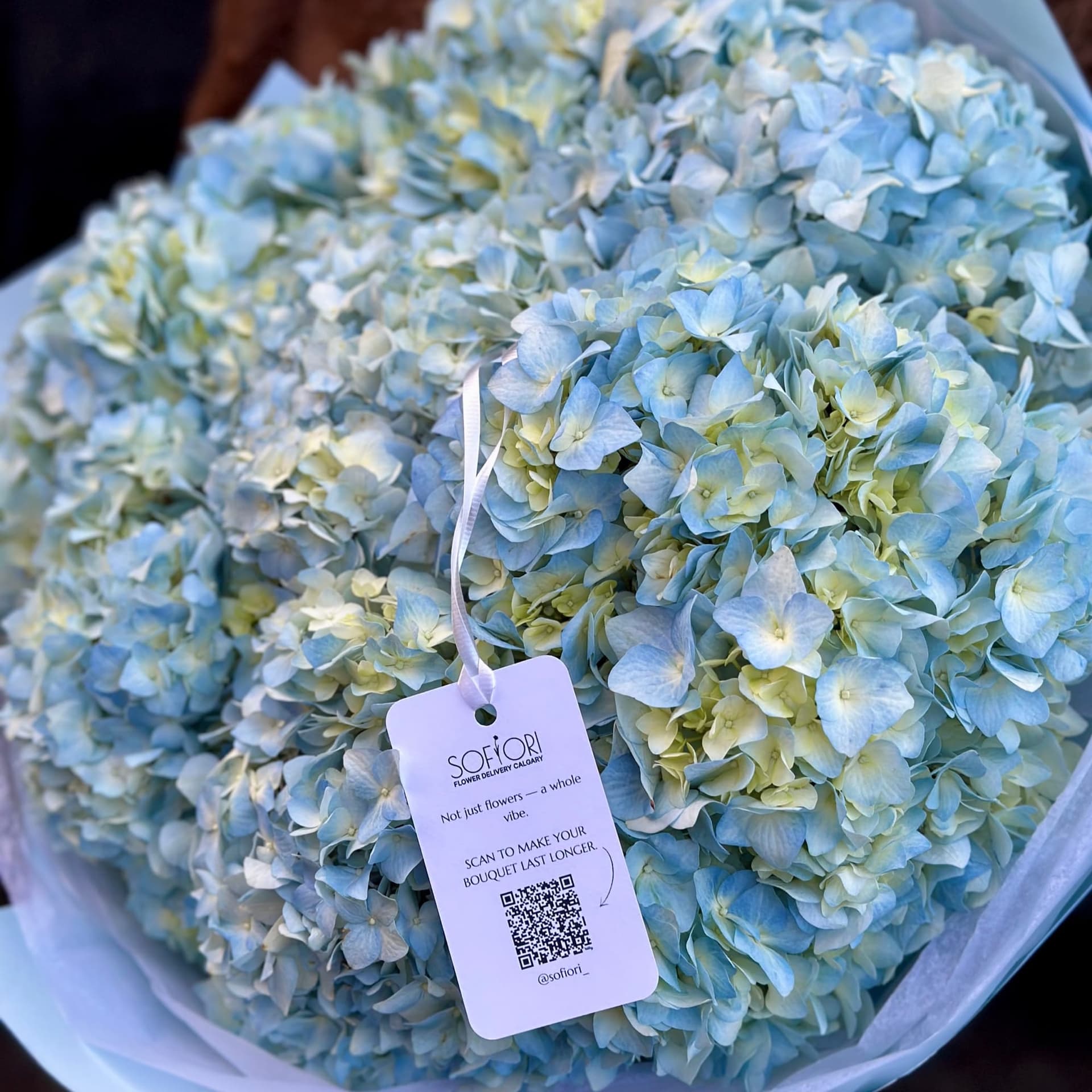 Blue Hydrangeas XL — photo 2