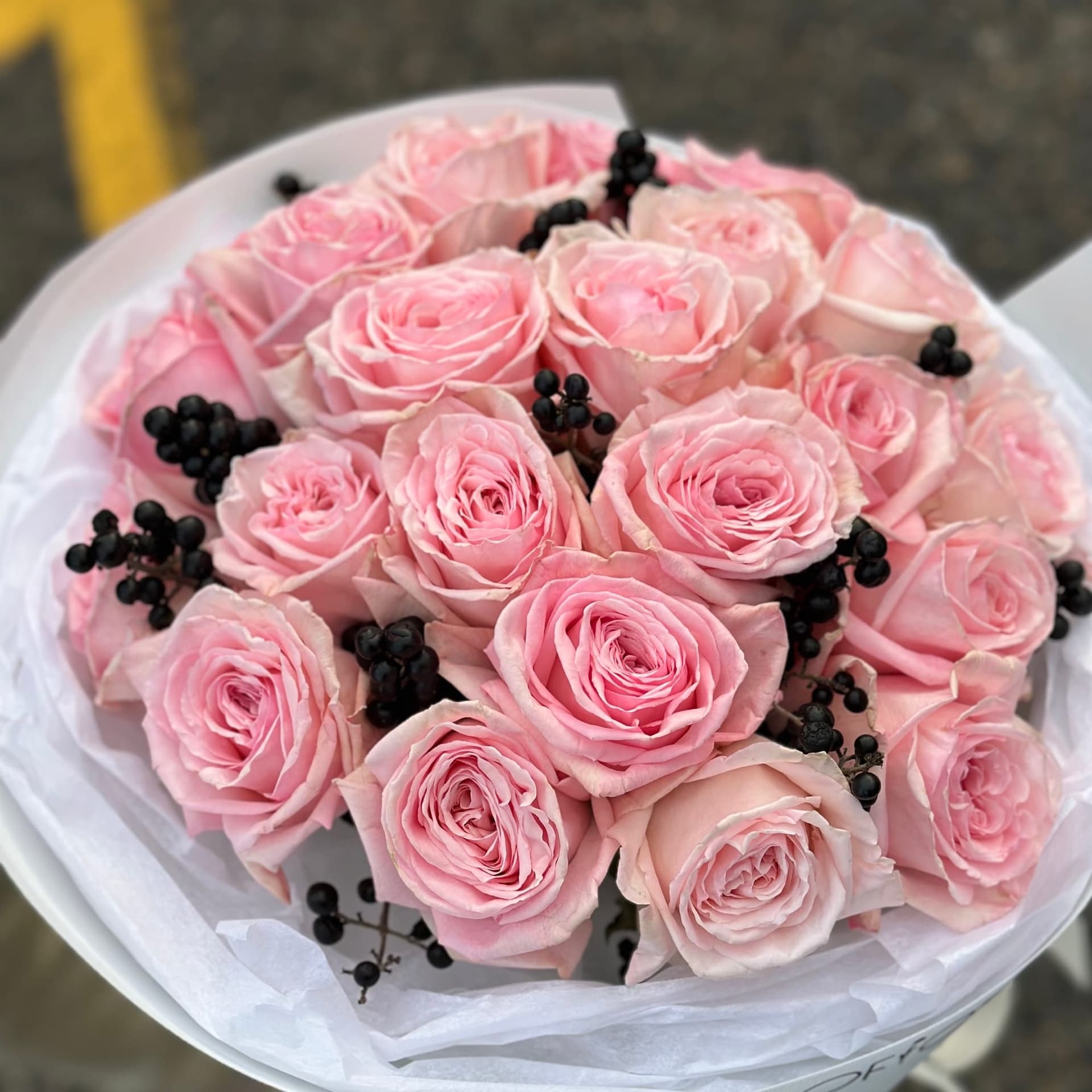 Pink O’Hara and Berry — photo 3