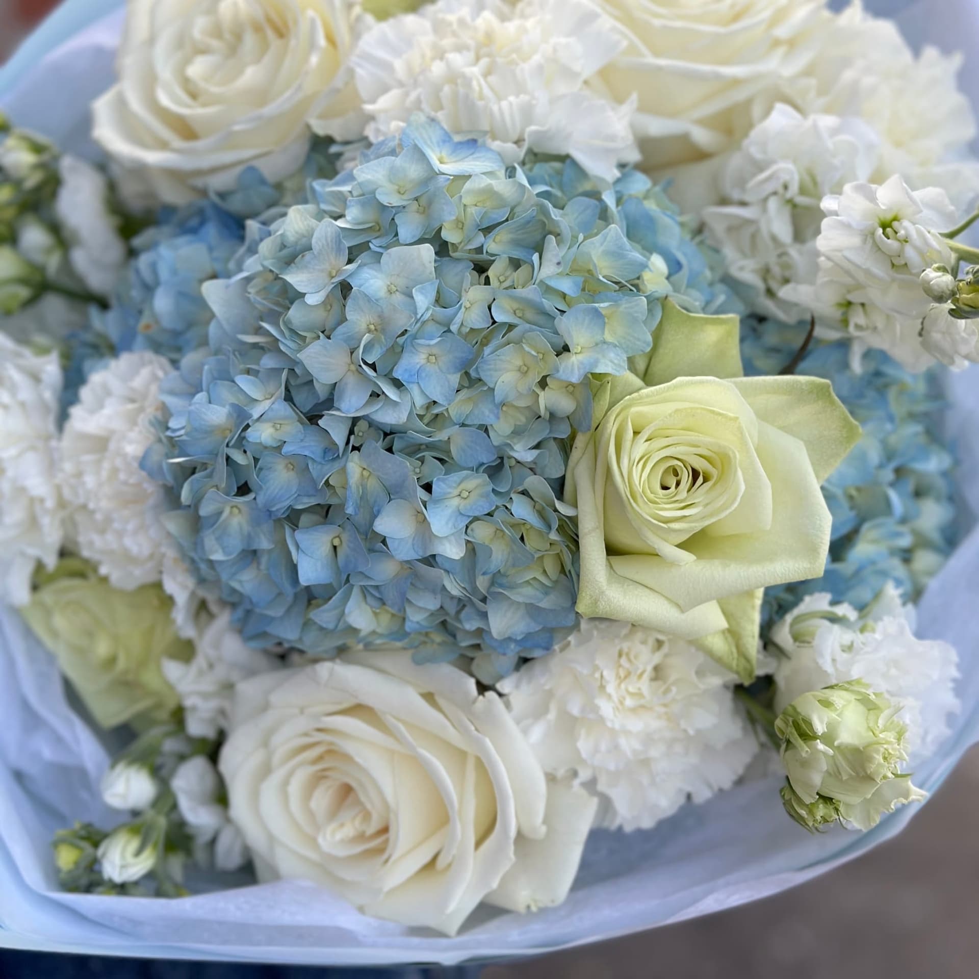 Cloud Bloom — photo 2