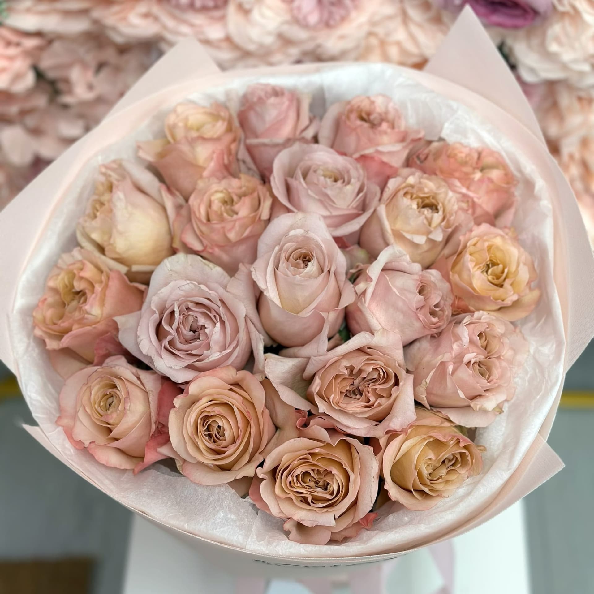 24 Cream Roses