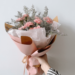 CARNATION DREAM