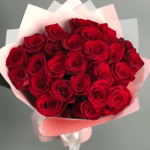 25 Explorer Red Roses