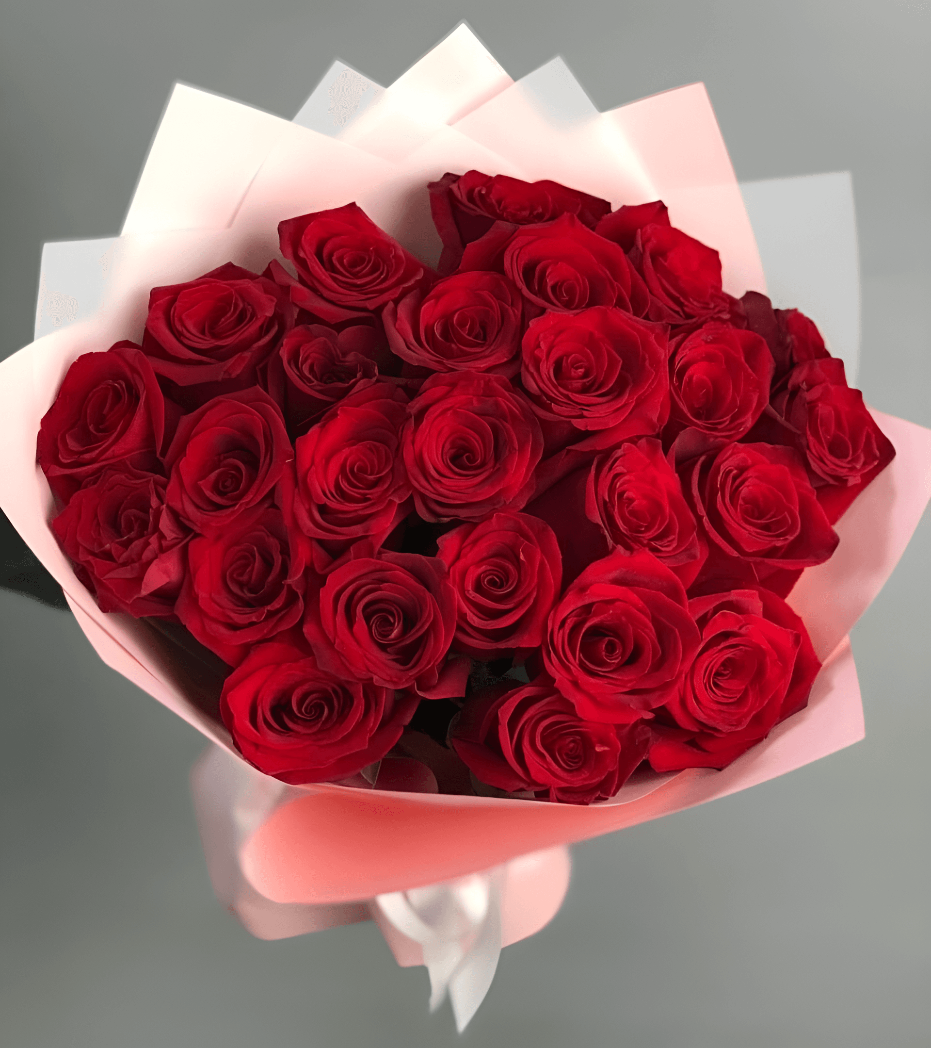 25 Explorer Red Roses