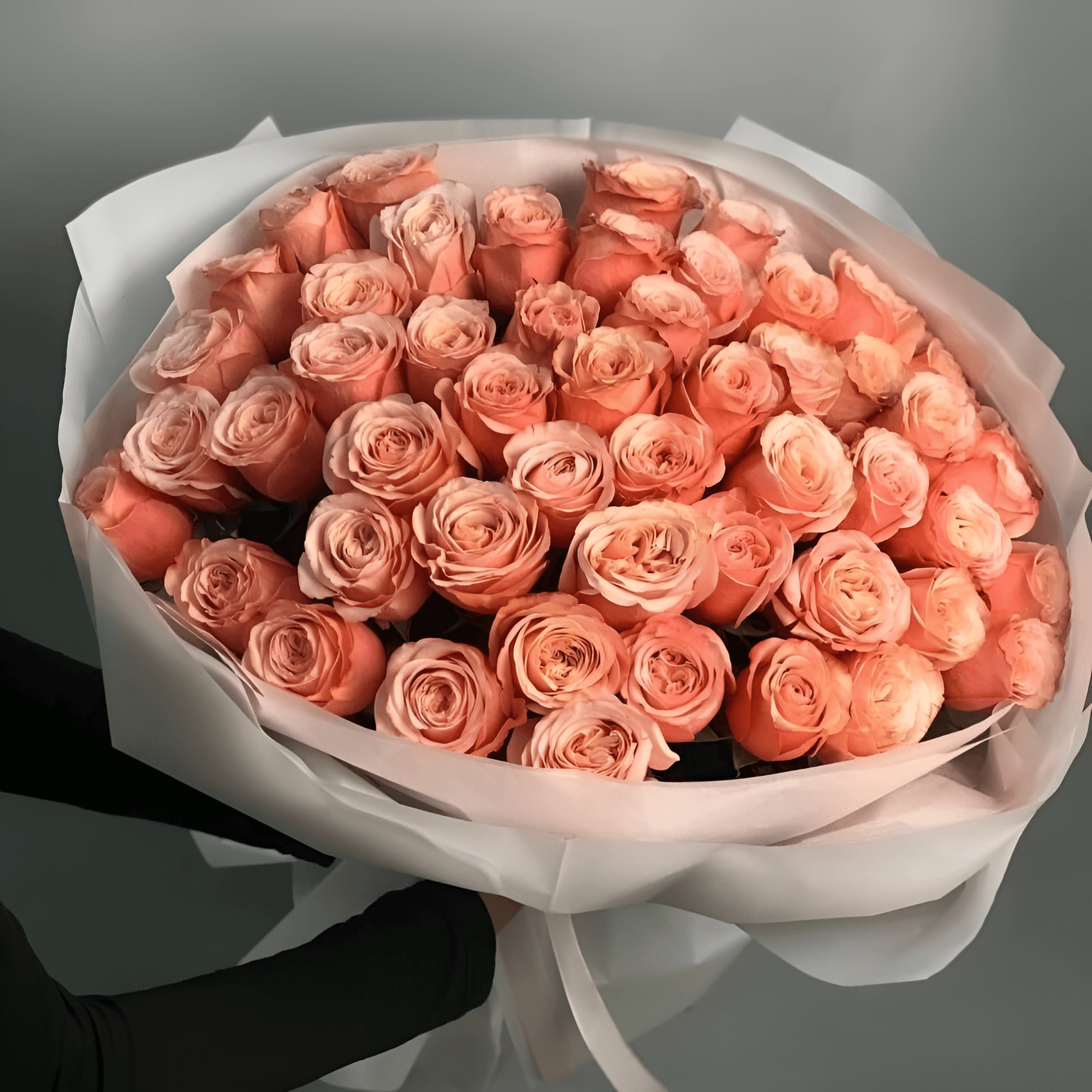 50 Peach Rose