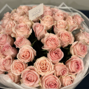 Luxury Garden Peach Roses