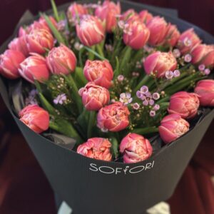 Tulips Columbus 30 stems